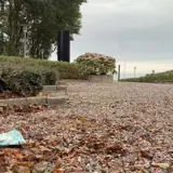 rydernes vi tager skraldet