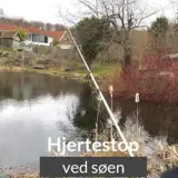 (18) Hjertestop ved søen