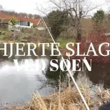 (15) Hjerte slag ved søen